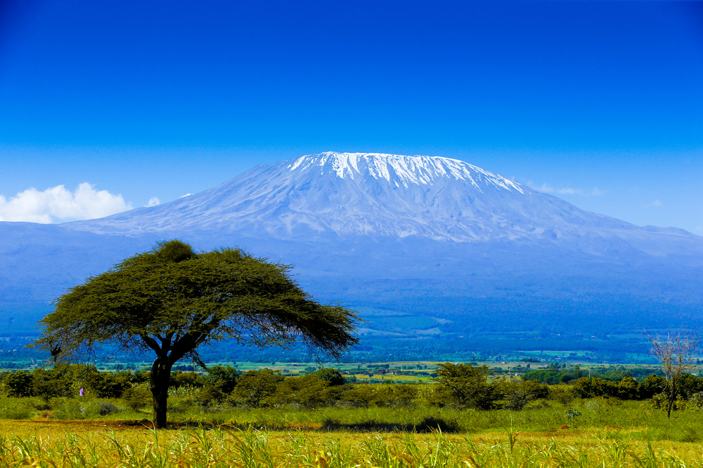 Le Kilimanjaro